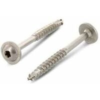 CT VIS VBA3 TL TORX ZN - 8X220