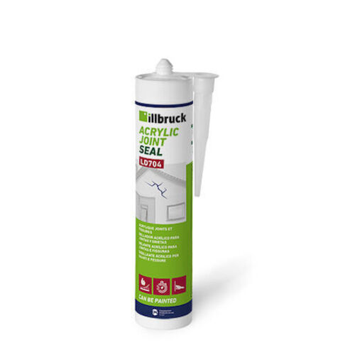 MASTIC ACRYLIQUE BLANC - 310ml