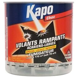 Fumig&eacute;ne HYDRO REACTIF 170m3