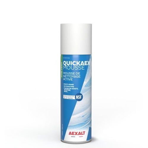 QUICAEX MOUSSE Nettoyante A&eacute;rosol 650ml